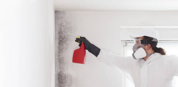 Best Crawl Space Mold Removal  in Catasauqua, PA