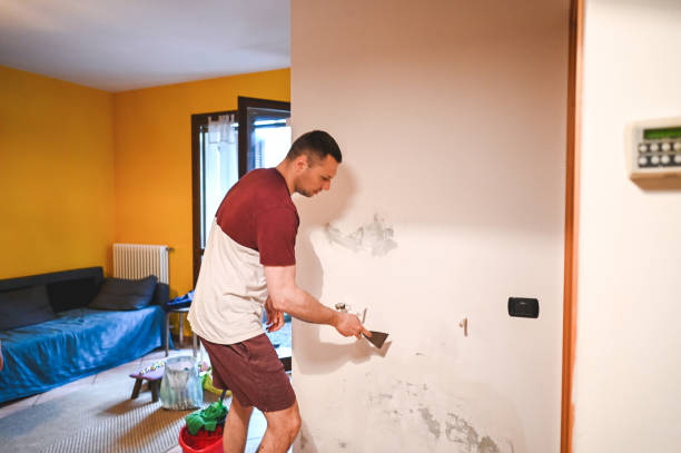 Best Emergency Mold Removal  in Catasauqua, PA
